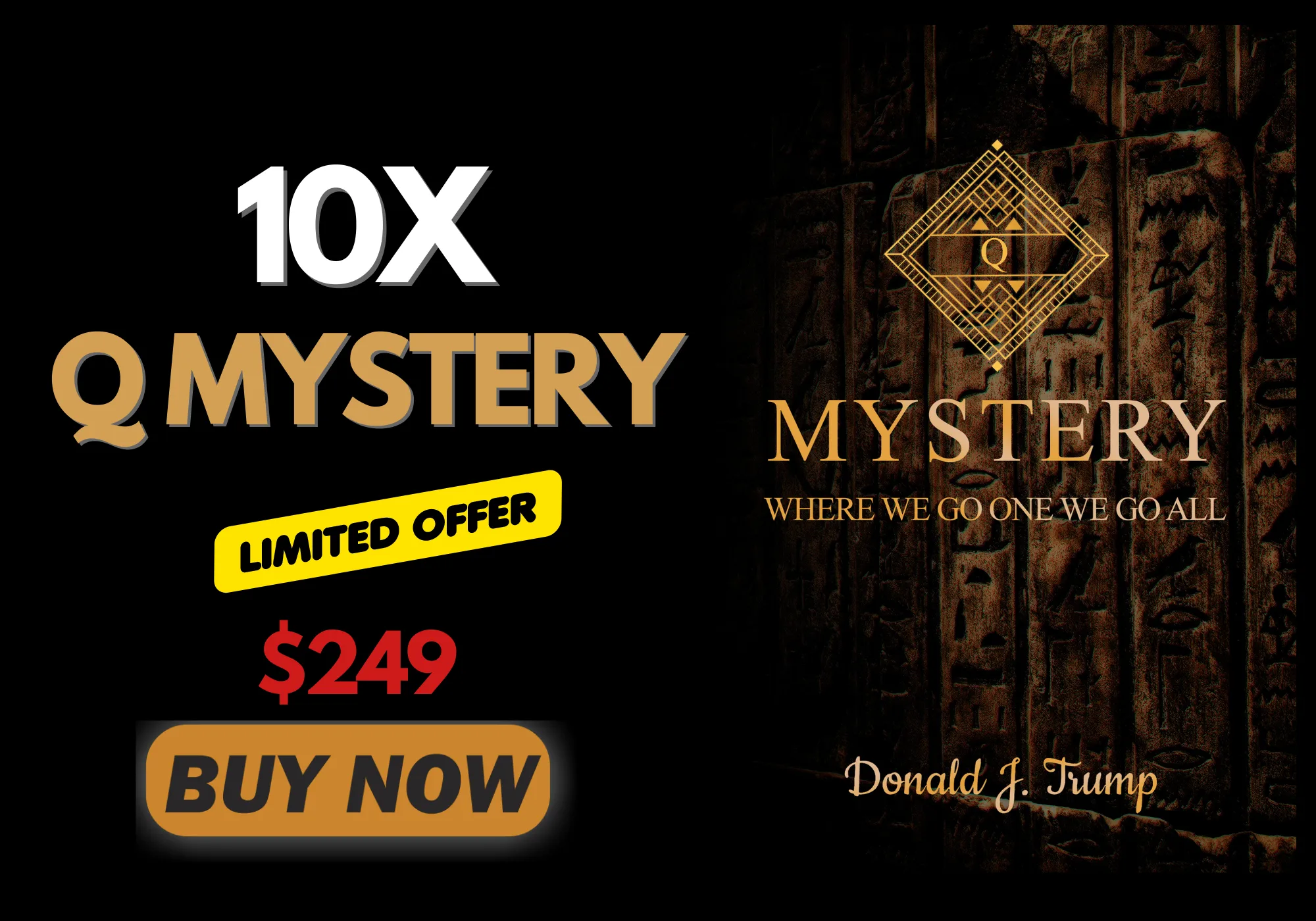 10Xq-mystery-book-buy-now