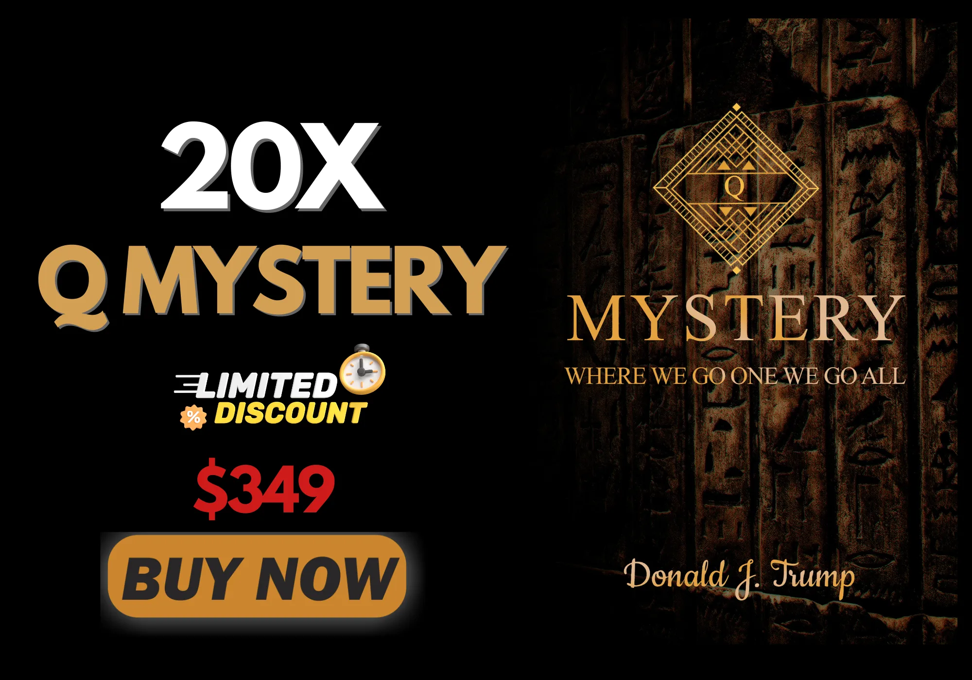 20Xq-mystery-book-buy-now